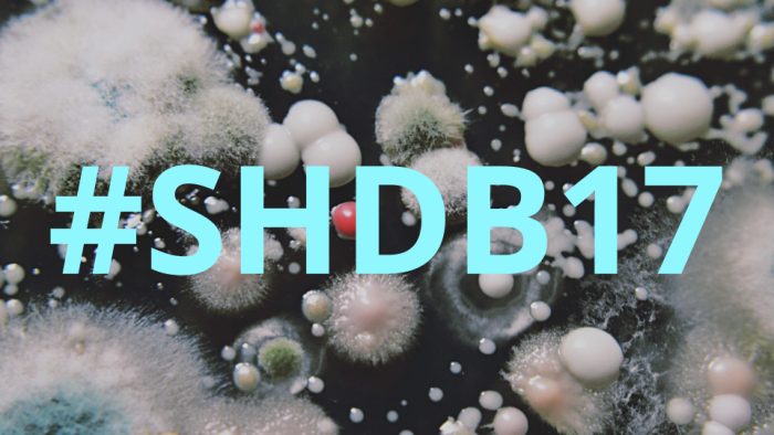 #SHDB17